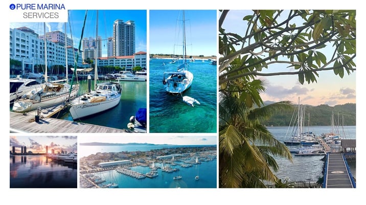 Pure Marina Pics